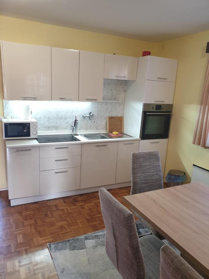 Terme Catez Apartma Nine Catez ob Savi Eksteriør billede